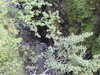 20200910144524-DSCN5373.JPG