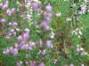 20200910145308-DSCF5540.JPG