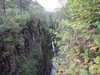 20200910145338-DSCF5543.JPG