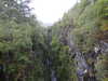 20200910145406-DSCN5380.JPG