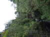 20200910145424-DSCF5545.JPG