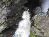 20200910145441-DSCN5383.JPG
