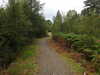 20200910145535-DSCN5385.JPG