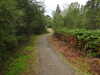 20200910145536-DSCN5386.JPG