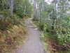 20200910145731-DSCN5390.JPG
