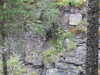 20200910145749-DSCN5391.JPG