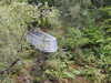 20200910145938-DSCN5394.JPG