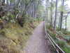 20200910150005-DSCN5395.JPG