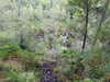 20200910150107-DSCN5398.JPG