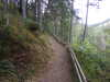 20200910150148-DSCN5399.JPG