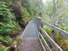 20200910150301-DSCN5401.JPG