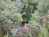 20200910150312-DSCN5402.JPG