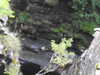 20200910150319-DSCN5403.JPG