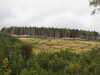 20200910150331-DSCN5404.JPG