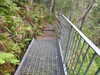 20200910150342-DSCN5405.JPG