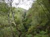 20200910150503-DSCN5406.JPG