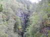 20200910150508-DSCN5407.JPG