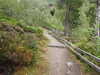 20200910150653-DSCN5408.JPG