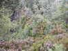 20200910150702-DSCN5409.JPG