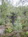 20200910150710-DSCN5410.JPG