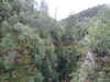 20200910150731-DSCF5554.JPG