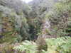 20200910150731-DSCN5412.JPG