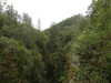 20200910150735-DSCN5413.JPG