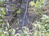 20200910150751-DSCN5415.JPG