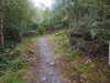 20200910150905-DSCN5418.JPG