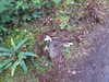 20200910150909-DSCN5419.JPG