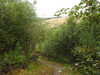20200910151324-DSCN5423.JPG