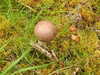 20200910151531-DSCN5424.JPG