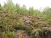 20200910151539-DSCN5425.JPG