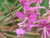 20200910151757-DSCF5557.JPG