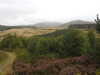 20200910151914-DSCN5427.JPG
