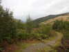 20200910151918-DSCN5428.JPG
