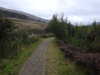 20200910152036-DSCN5430.JPG