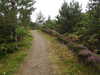 20200910152346-DSCN5433.JPG