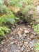 20200910152415-DSCN5434.JPG
