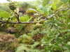 20200910152455-DSCN5435.JPG