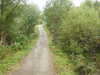 20200910152613-DSCN5436.JPG