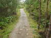 20200910152619-DSCN5437.JPG
