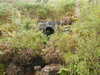 20200910152646-DSCN5439.JPG