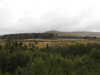 20200910152713-DSCN5441.JPG