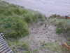 20200910193232-DSCN5451.JPG