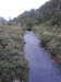 20200910195230-DSCN5478.JPG