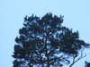 20200910195814-DSCN5490.JPG