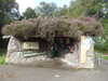 20200911113444-DSCN5509.JPG