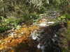20200911113510-DSCN5511.JPG