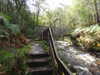20200911113528-DSCN5514.JPG